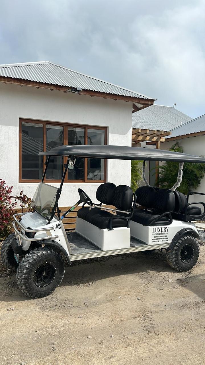 Arriving by Tropic Air, Maya Island Air or Water Taxi: How Golf Cart Pickup Works